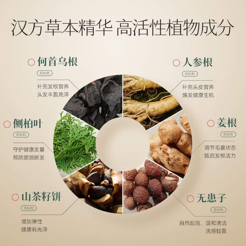 长发小寨【国颐堂微信视频直播同款】参乌洗发水400g 防脱精华液50ml 洗发水*2+旅行装