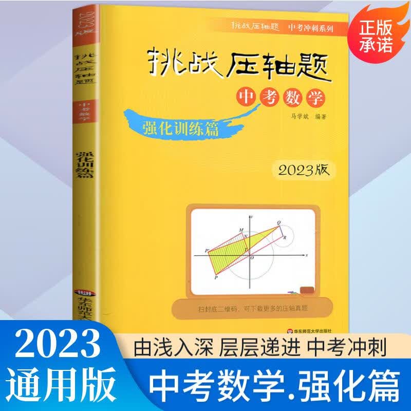 自选】2023挑战压轴题中考数学物理化学强化训练轻松入门精讲解读篇 初中难题大题复习提优冲刺训练习册讲解资料书 数学 强化训练篇