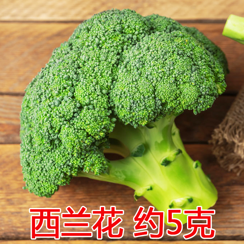 西兰花种子四季有机蔬菜种子盆栽菜籽青花菜西蓝花菜种子菜花种籽 西