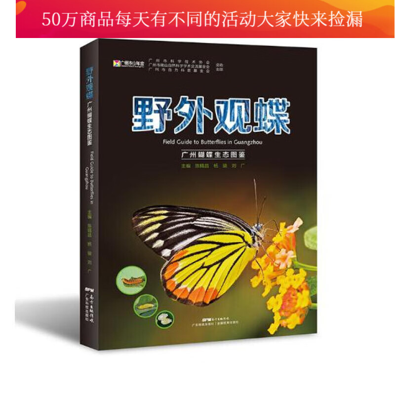 野外观蝶：广州蝴蝶生态图鉴图书 科普读物 生物世界 陈锡昌等 广东科技出版社978753596722
