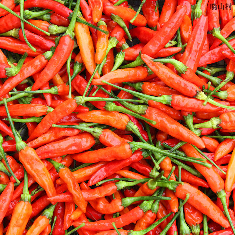 500g江西赣州农家小米椒辣椒干辣特辣红赣南土特产朝天椒 特产朝天椒