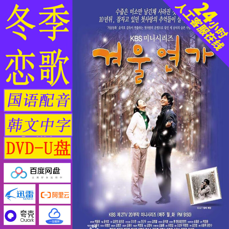 opuyym冬季恋歌  爱情文艺电视连续剧  经典国语20集清晰不卡 dvd碟片