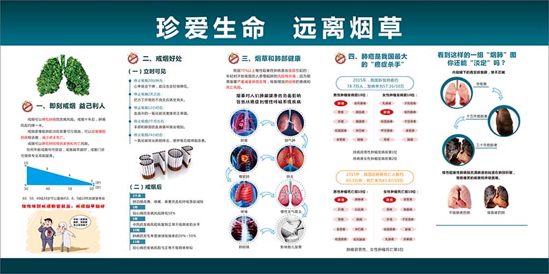 禁烟文化宣传贴画禁止吸烟挂图标语吸二手烟吸烟有害健康戒烟贴纸 2