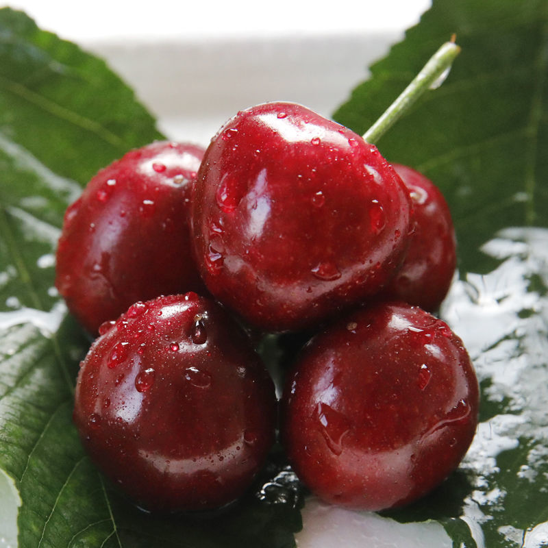 山东烟台大樱桃新鲜水果孕妇国产车厘子整箱3/5斤现发团建送礼生鲜 3
