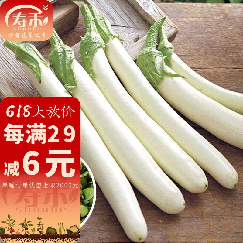 寿禾白蛋茄种子蛋树白色茄子春冬季播种鸡蛋茄白圆茄瓜寿光种籽菜籽