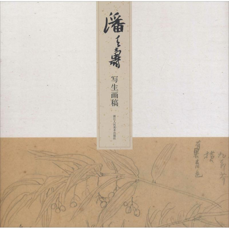 潘天寿写生画稿