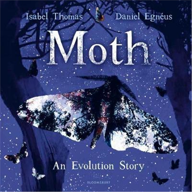预订Moth