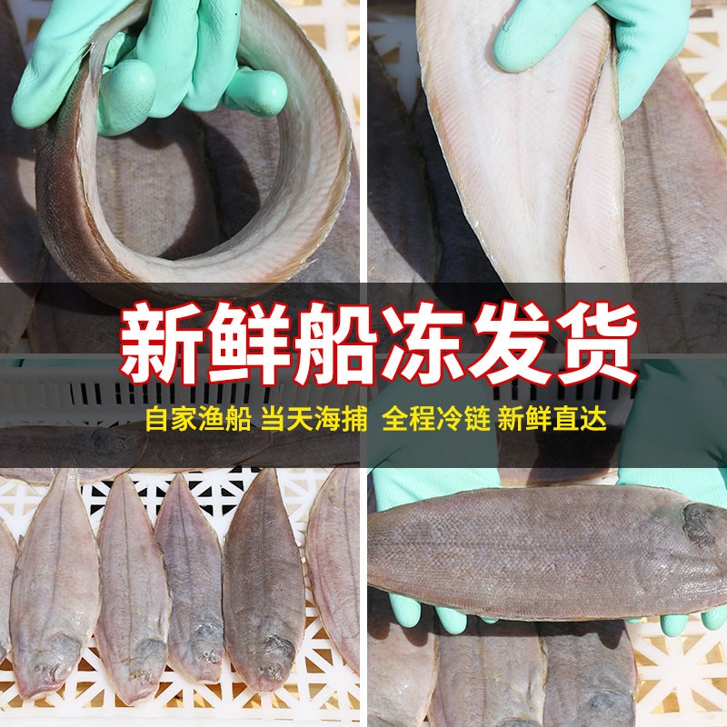 鱼鳎 相关京东优惠商品排行榜 3 价格图片品牌优惠券 虎窝购