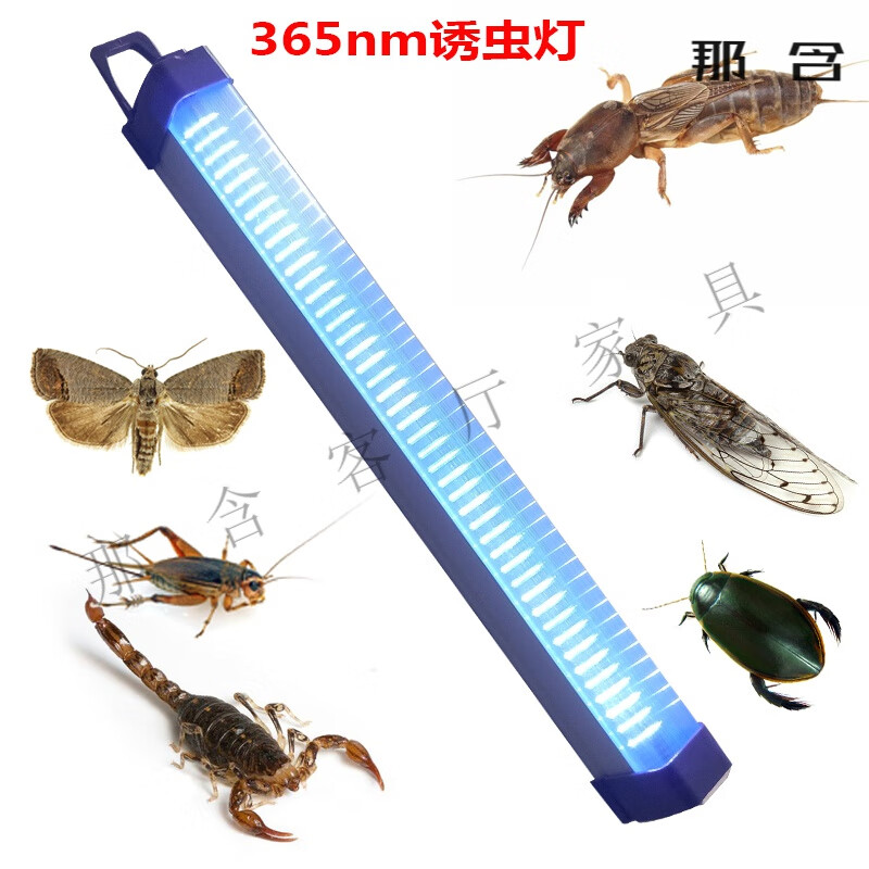 创京懿选户外昆虫灯诱虫led诱虫灯充电式带挂钩捕蝉蝼蛄蟋蟀知了蝎子