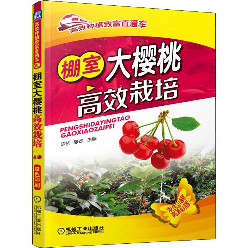 棚室大樱桃高效栽培 陈哲,张杰 编 书籍
