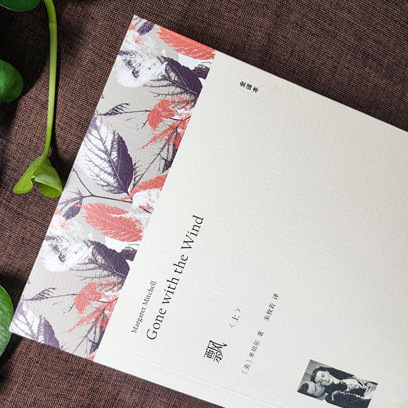 飘 全译本平装版(全2册) (美)米切尔 著 朱攸若 译 外国文学名著读物