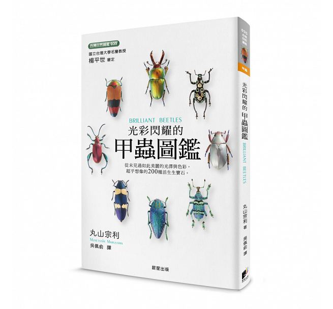 现货 原版进口光彩闪耀的甲虫图鉴晨星丸山宗利 动物/植物/图鉴/昆虫
