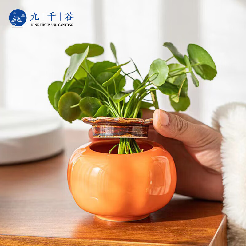 ��ǧ�Ȼ��� ���������մ����ӻ�ƿˮ������ˮ�໨��11*8.2cm���9102