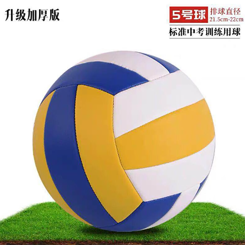 盖淘标准中考排球5号训练比赛4号小学生儿童初学硬式软排 黄蓝白