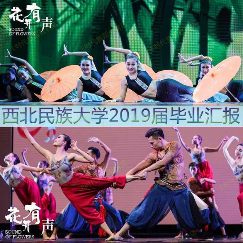 西北民族大学舞蹈学院2019届舞蹈表演专业成品舞毕业