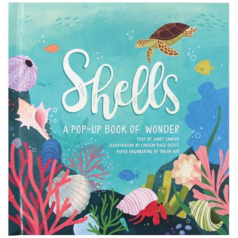 现货 贝壳：夏日立体书 Shells: A Pop-Up Book of Wonder