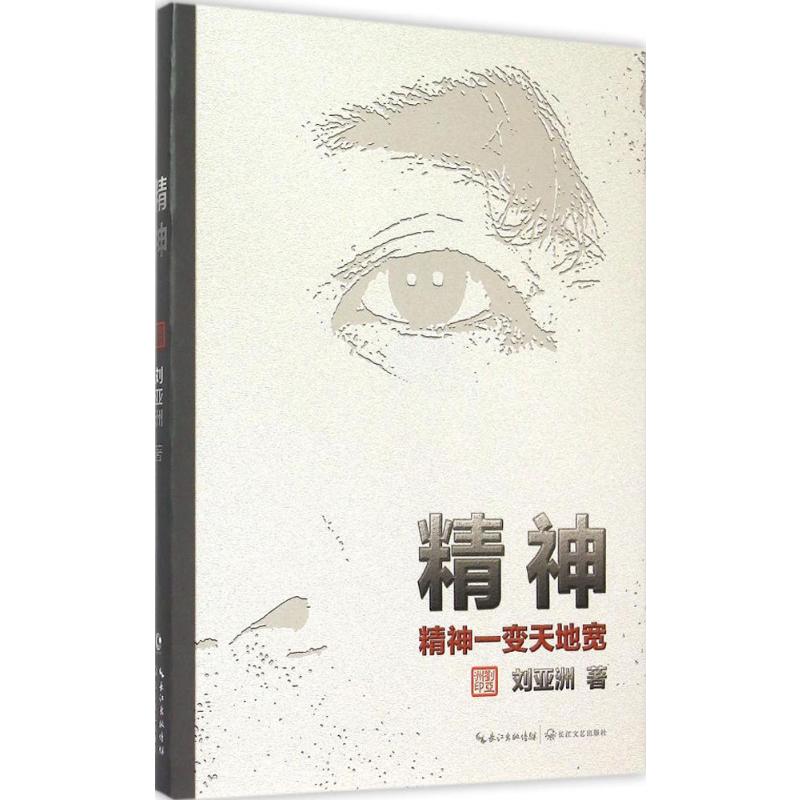 精神 刘亚洲  书籍