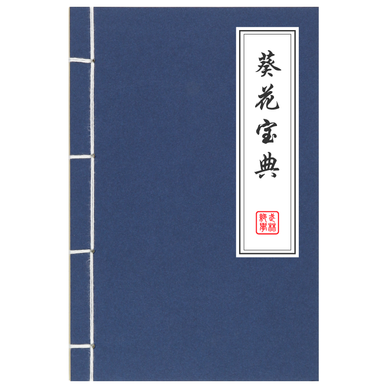 秘笈牛皮纸手工线装创意武功秘籍笔记本子文具礼品定制 葵花宝典 1本