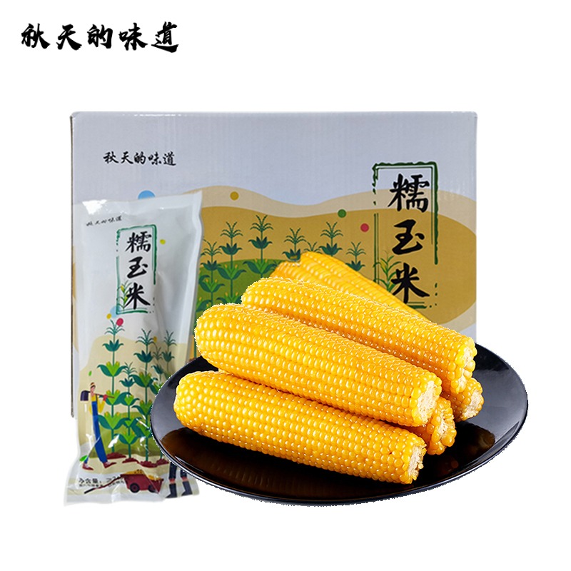 秋天的味道 黄糯玉米内蒙古河套新鲜甜糯玉米棒 真空装粗粮代餐玉米