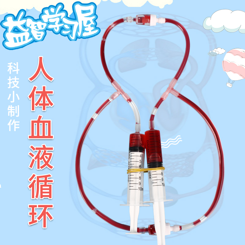 科技小制作学生物毛细血管人体血液循环模型 科学实验器材手工diy