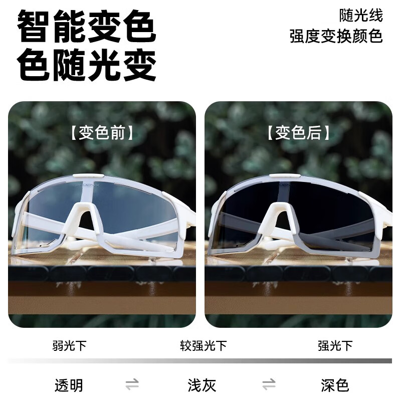 凤凰100%变色骑行眼镜日夜两用男女公路自行车运动户外跑步防风护目镜 变色镜 磨砂黑【日夜两用】