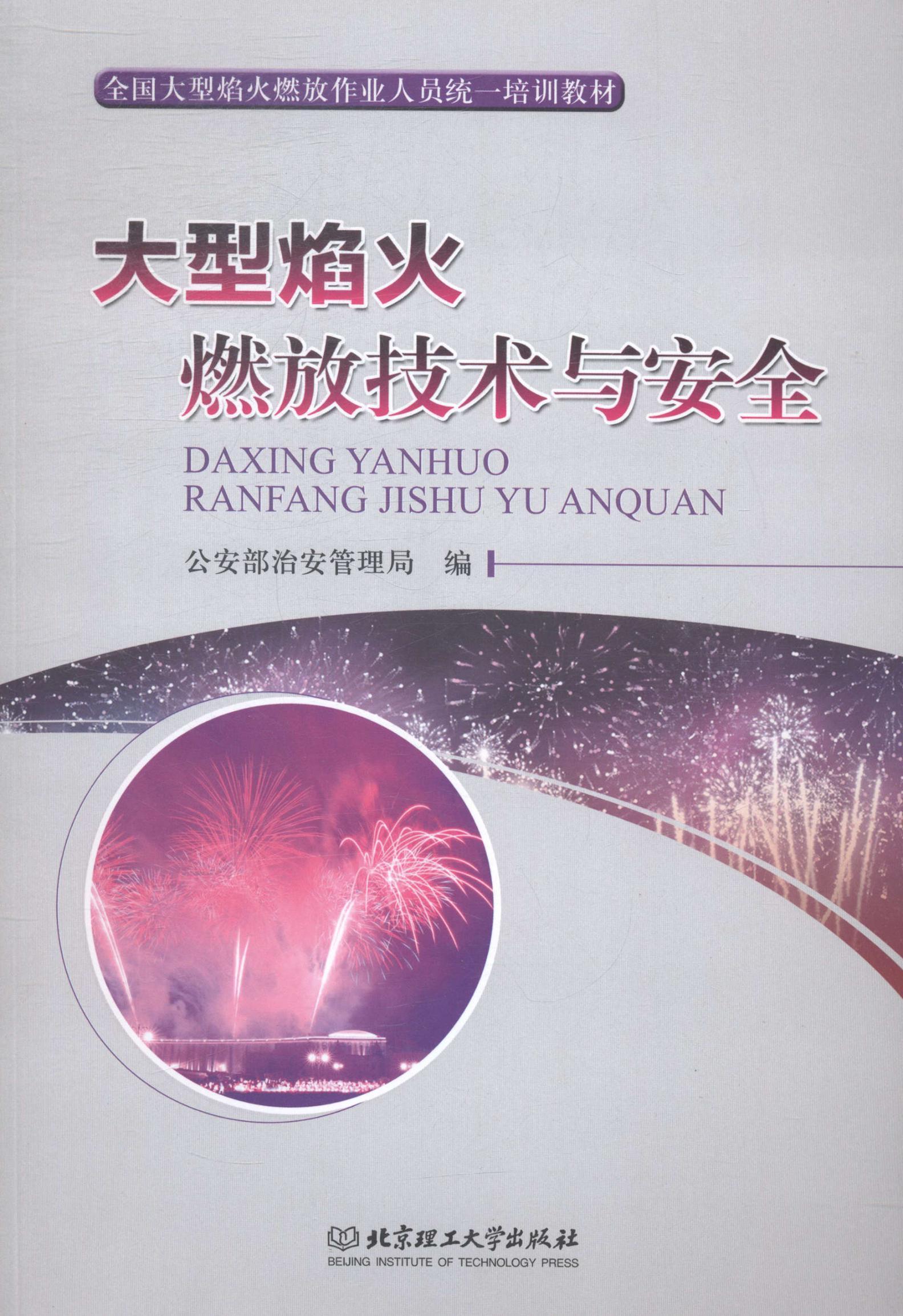 大型焰火燃放技术与 大中专教材教辅 焰火--燃烧--安全技术  图书