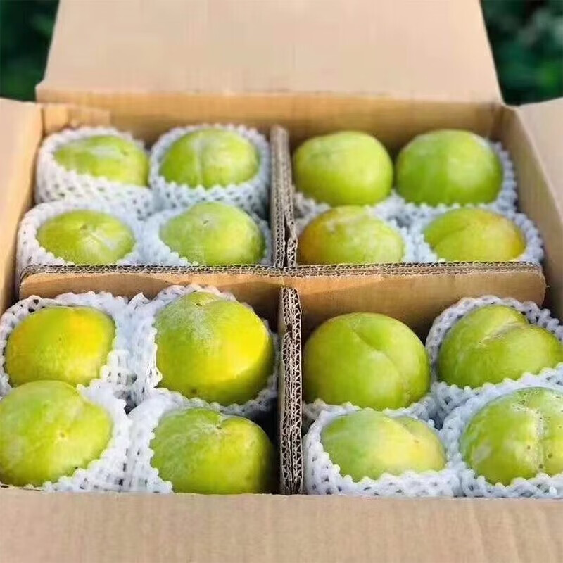 南象婆头茬新鲜秋姬李晚熟李子整箱5斤果径35mm+使用感如何?