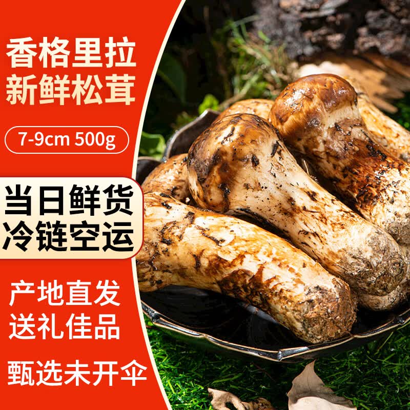 果杰香格里拉新鲜松茸菌礼盒装500g (7-9cm）未开伞高品质菌菇属于什么档次？