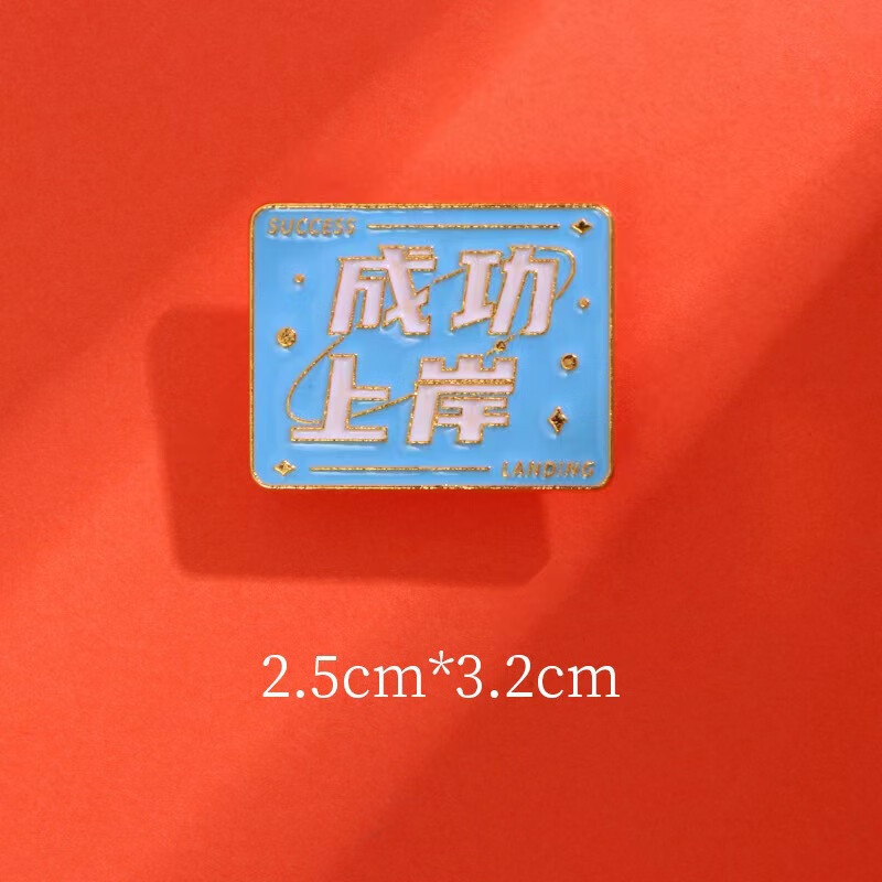 文字金属胸针可爱学生徽章创意趣味祝福语情侣男女小礼物 1# 成功上岸