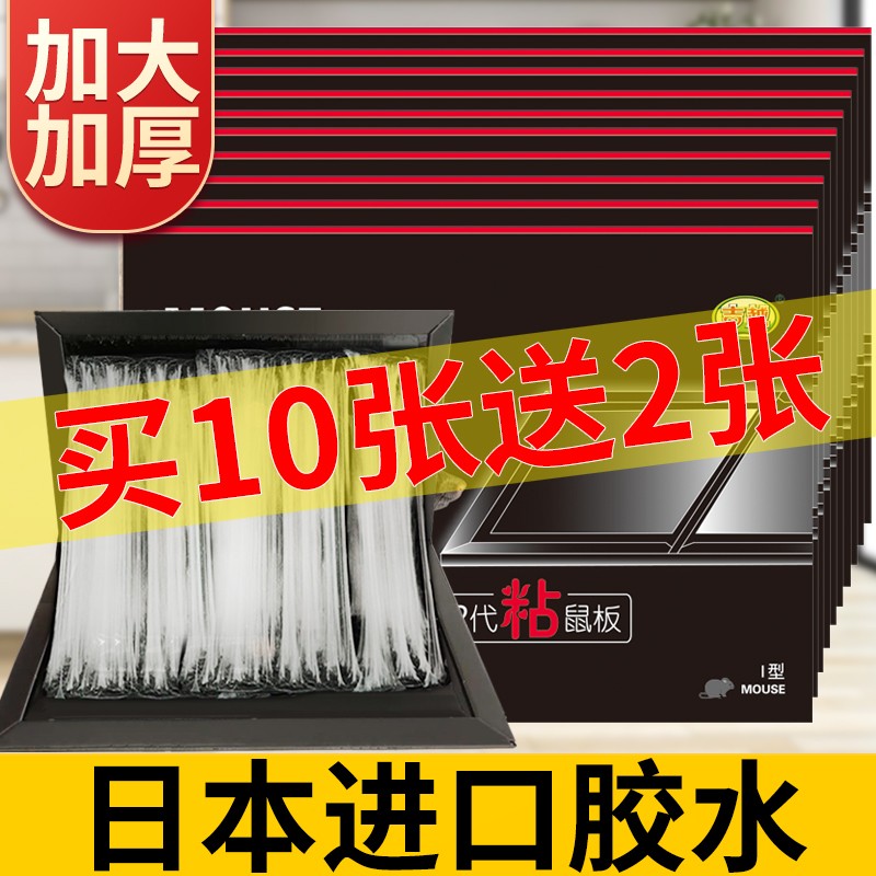 吉越粘鼠板老鼠贴超强力家用防鼠捕鼠神器捉老鼠加大加厚灭鼠板10张装 12张装 加大加厚