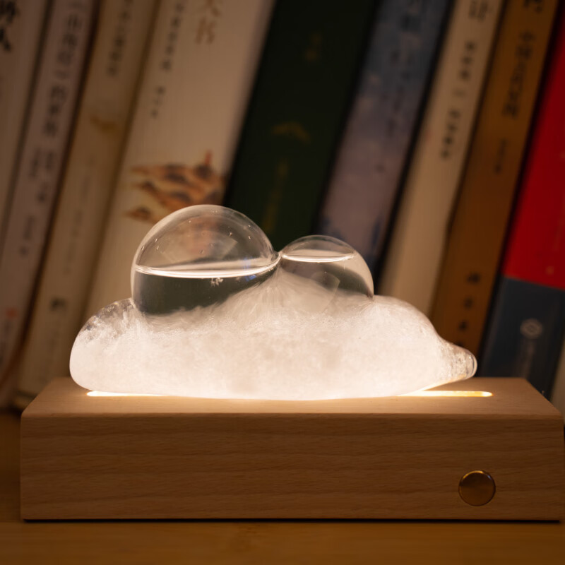 奇妙云朵（FANTASTIC CLOUD）云朵风暴瓶天气瓶创意摆件礼盒生日送女友高级感纪念日情人节礼物 风暴瓶+底座