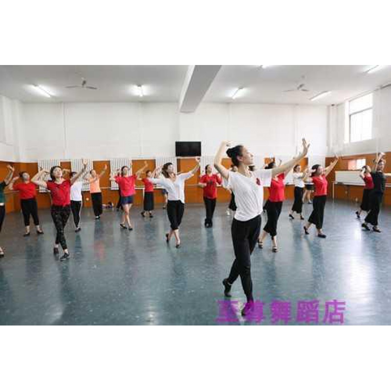 北京舞蹈学院 中国民族民间舞课堂舞蹈考试组合汇编教材道具