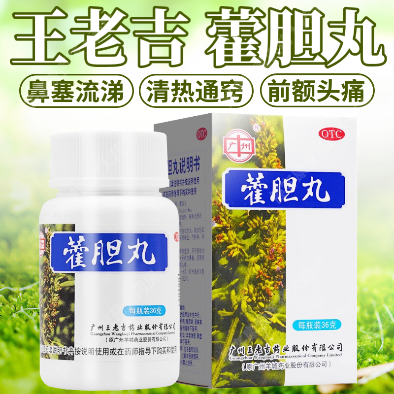 广州王老吉 藿胆丸 芳香化浊 清热通窍 鼻塞流鼻涕 前额头痛 嚯霍丹丸