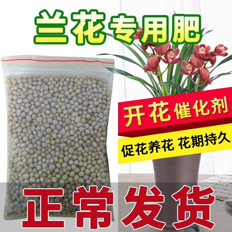 高宅兰花专用肥料长效颗粒缓释肥 盆栽植物绿植花卉 专用肥料花卉国兰