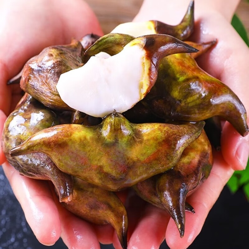 马保果洪湖新鲜老菱角 时令蔬菜大棱角凌角即食青菱角 1斤装