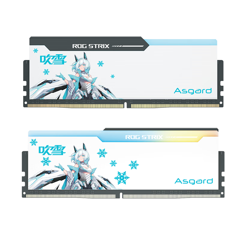 Asgard 阿斯加特 32GB(16GBx2)套 DDR5 6800 台式机内存 RGB灯条-吹雪