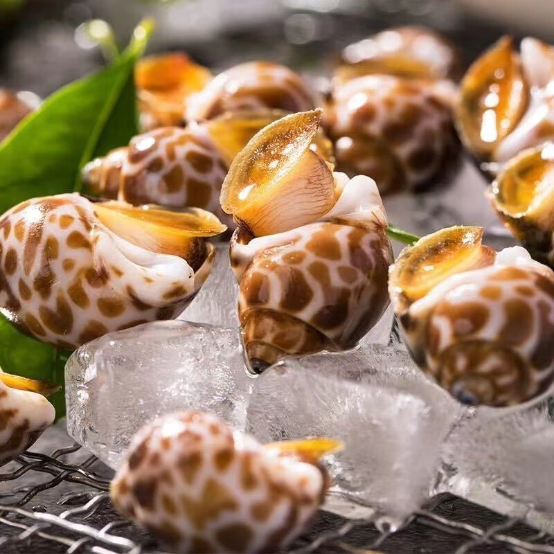 意和旺花螺鲜活活冻大花螺 新鲜东风螺海螺海猪螺海鲜水产好欢螺 活冻大花螺 2斤(35个/斤)怎么样,好用不?