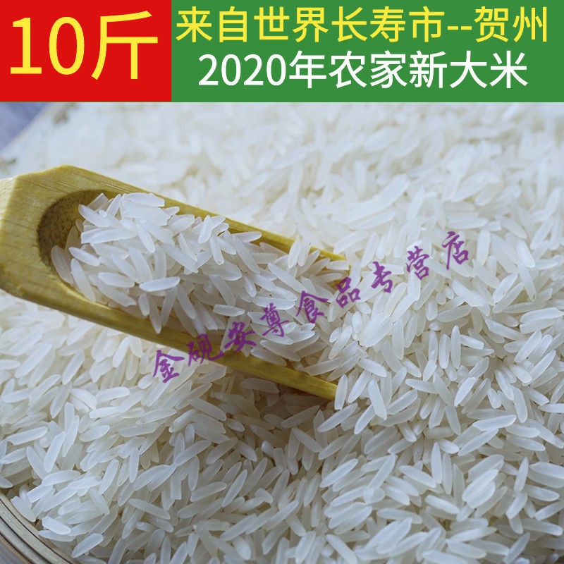 维霆广西农家晚稻长粒香软2020年新大米自产不抛光5kg10斤