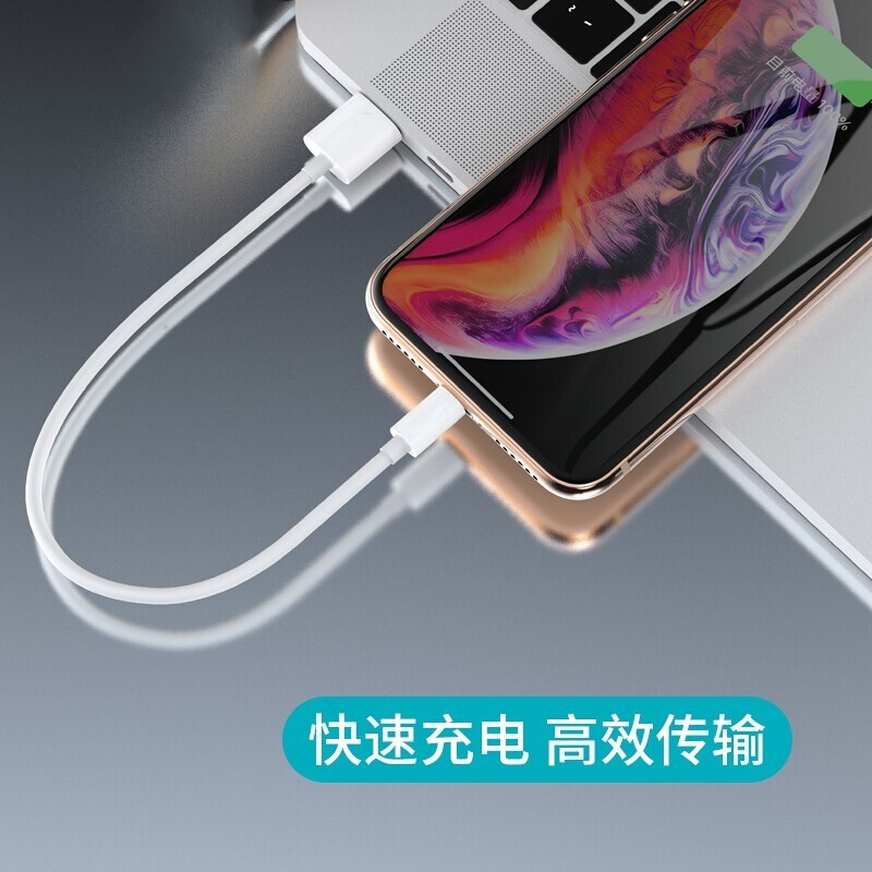 mijv数据线适用苹果手机短款充电宝线iphone6sp78X便携Xmax苹果12充电线2.4A快充 0.3米【2条装】