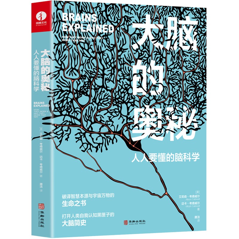 大脑的奥秘：人人要懂的脑科学 一本美得不像话的科普读物记忆脑图神经科学书籍（全彩印刷 精美大图 裸脊装订 平摊阅读）【新华网百万爆文推荐】