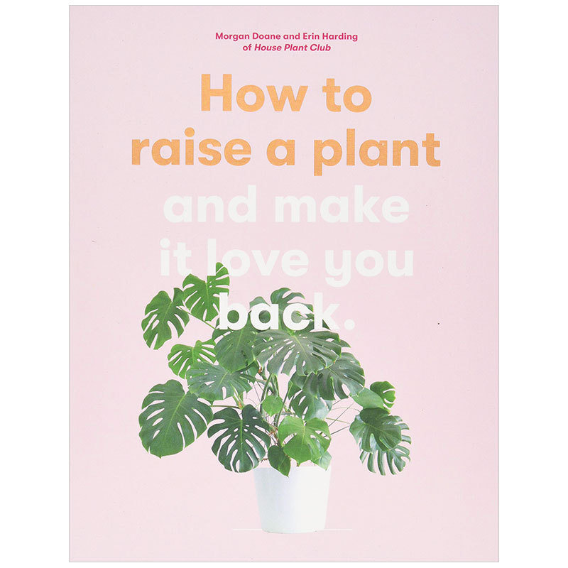 to raise a plant如何种植植物 室内盆栽种植 如何养育一盆绿植 英文