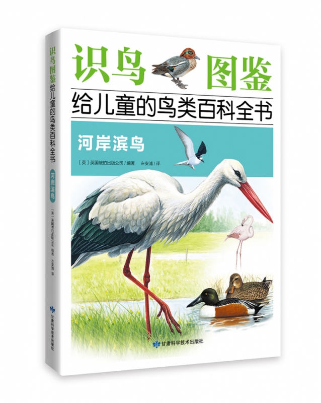 《识鸟图鉴,给儿童的鸟类百科全书:河岸滨鸟》 英国琥珀出版公司