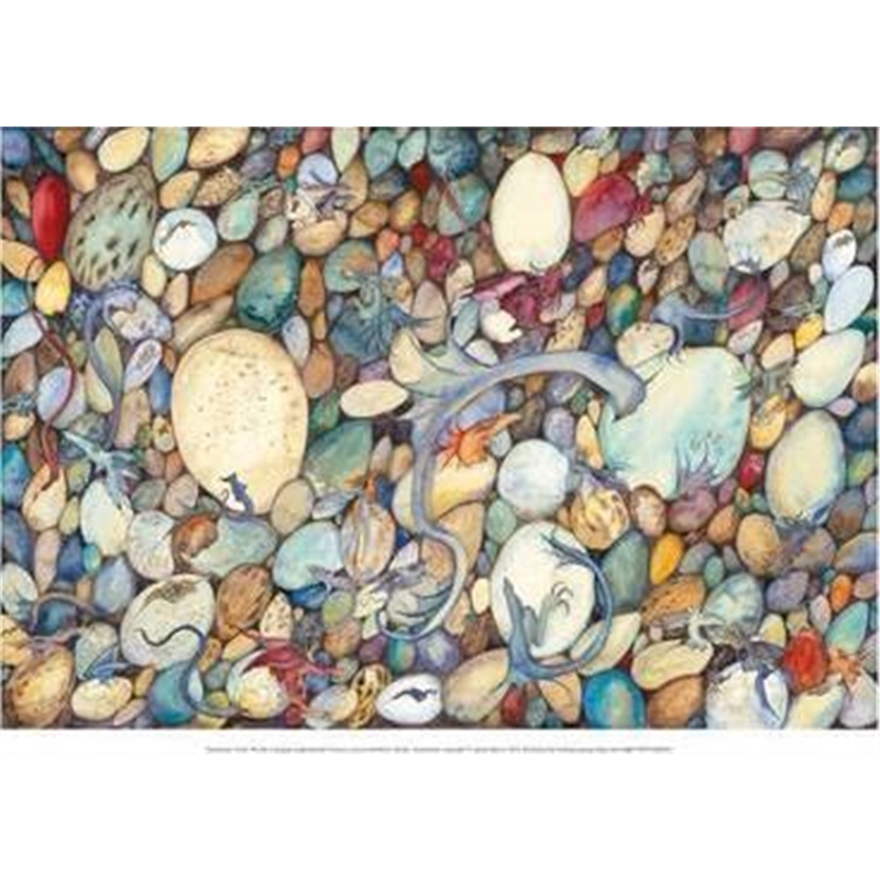 预订hatchlings - jackie morris poster