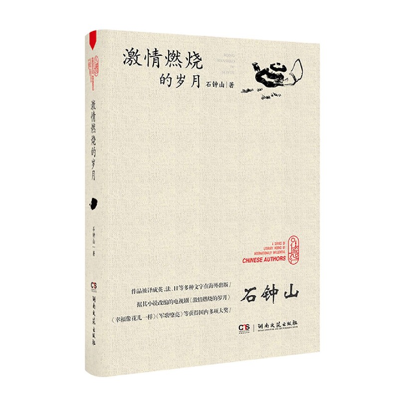 激情燃烧的岁月(精)