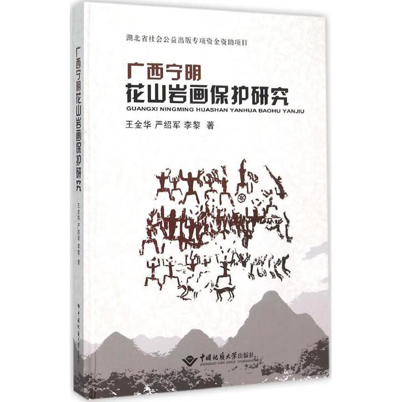广西宁明花山岩画保护研究