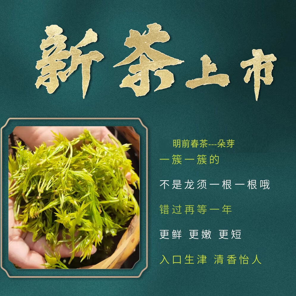 施南驿(朵芽芽尖紫藤250g罐装）2025新茶野生富硒土家来凤藤茶 朵芽罐装125g