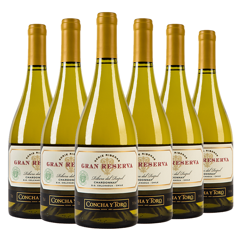 Concha y Toro¶ؼϼɰѾ750ml*6ƿ ںƷ