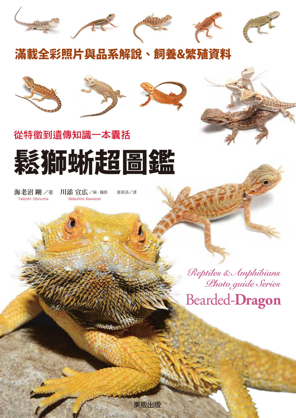 现货 海老沼刚松狮蜥超图鉴从特征到遗传知识一本囊括台湾东贩