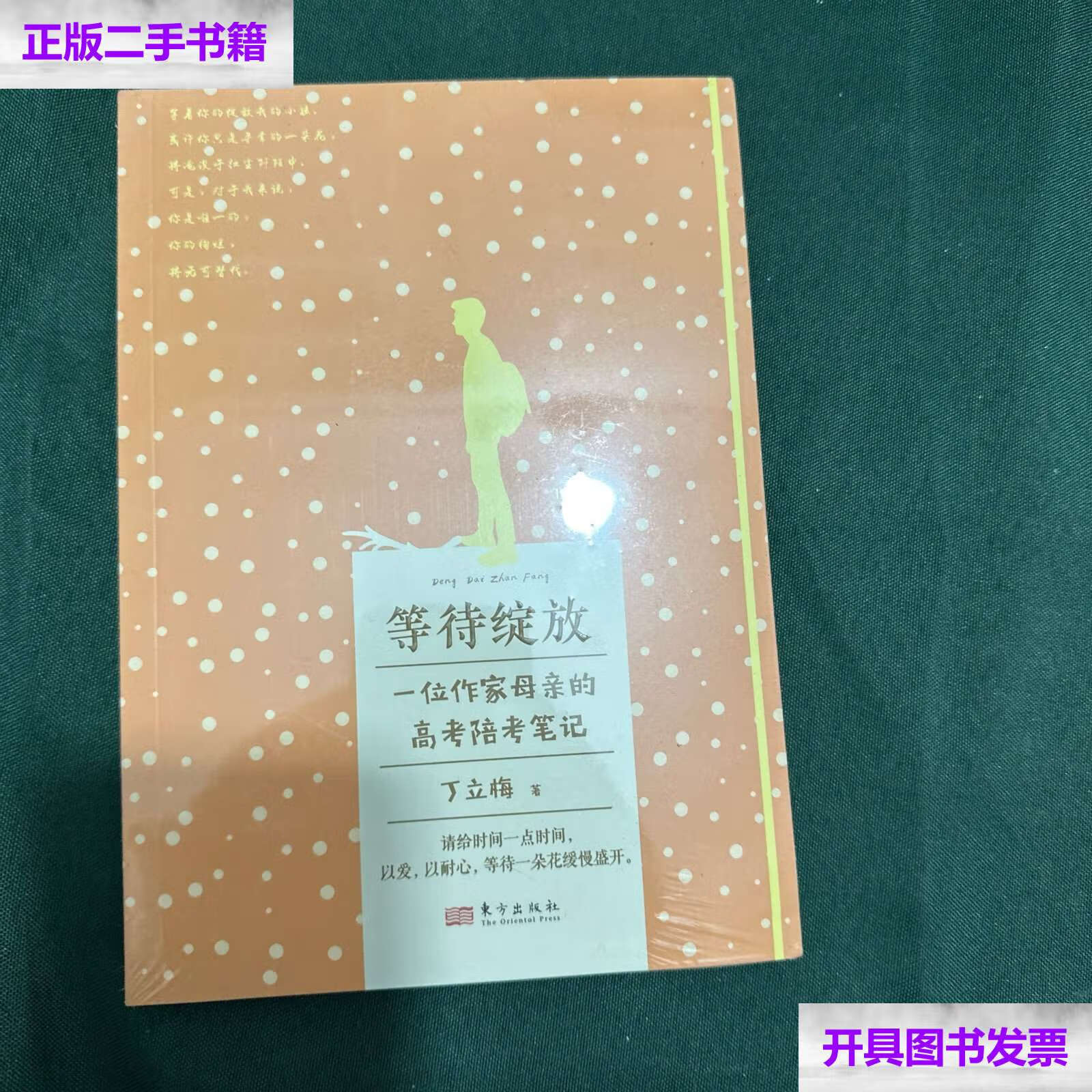 【二手9成新】等待绽放 /丁立梅 东方