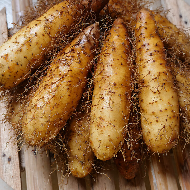 味巴哥毛薯猪仔薯茂名甜薯粉糯香山药新鲜斤 特大果 3斤